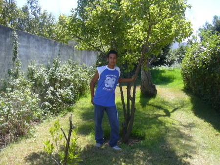 Nabil